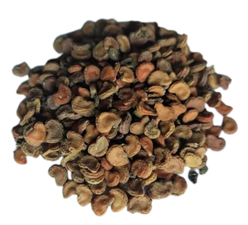 Datura seeds supplier in India